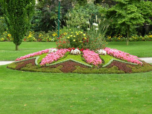  parterre de fleurs, Pépinière